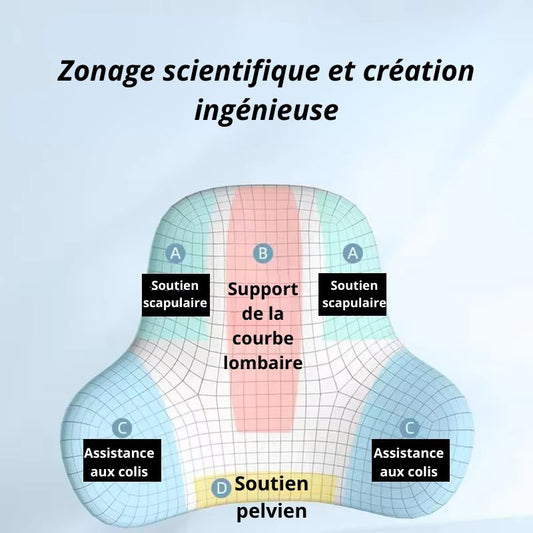 ZenErgo™ – Coussin ergonomique à mémoire de forme | Soutien lombaire pour adultes